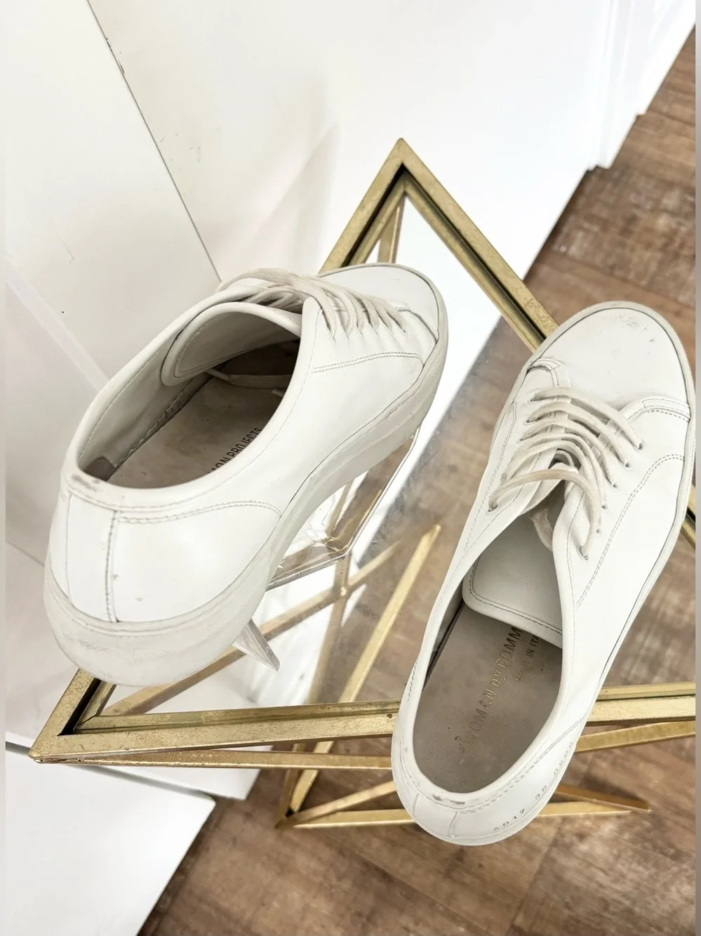 Common Projects pet free